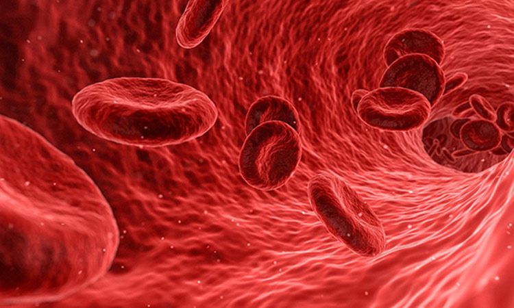 Skąd się bierze anemia?