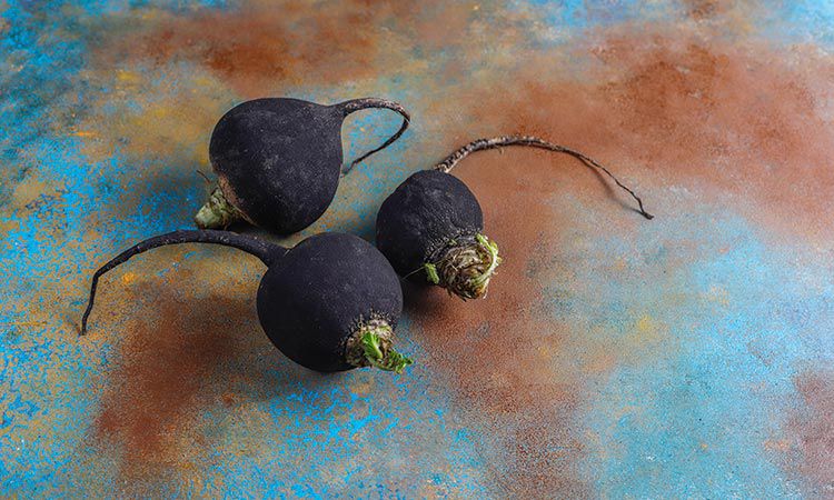  Czarna rzepa – bogactwo składników odżywczych 