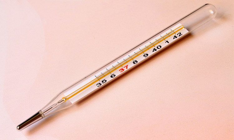  Czym i w jaki sposób skutecznie mierzyć temperaturę ciała? - Apteka internetowa Melissa 