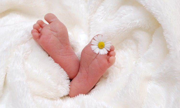 Emolienty - co warto o nich wiedzieć? - Apteka internetowa Melissa