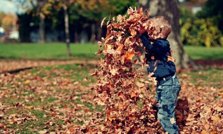  Jesień bez nawrotów anginy i zapalenia gardła u dzieci - Apteka internetowa Melissa 