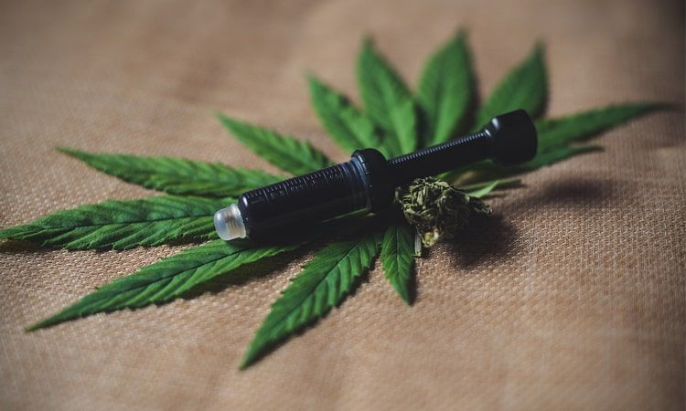 Marihuana a CBD i THC oraz inne pochodne konopi - Apteka Internetowa Melissa