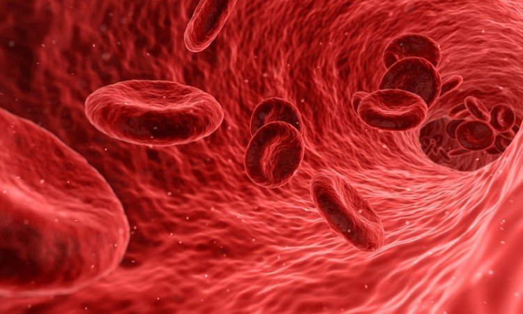  Regeneracja i wzmocnienie naczyń krwionośnych - Apteka internetowa Melissa 