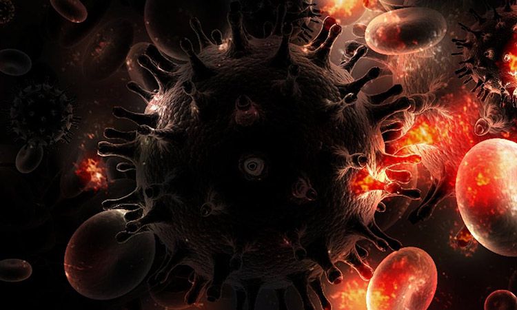  Wirus HIV – charakterystyka 