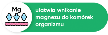 dla lepiej przyswajalnego magnezu dla lepiej przyswajalnego magnezu