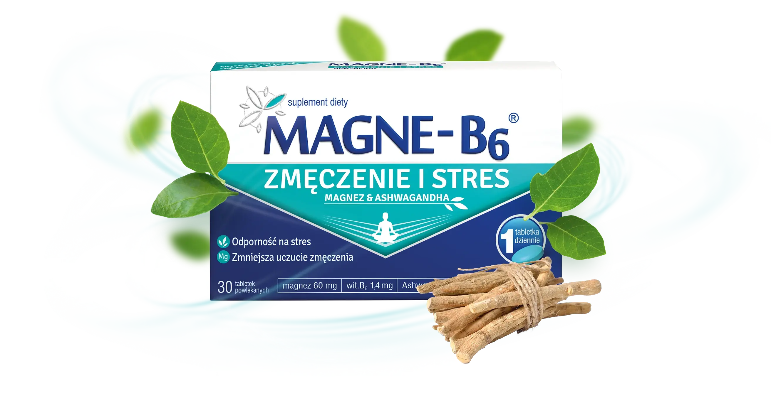 Suplement diety Magne B6 Zmęczenie i Stres zawiera ashwagandhę. 30 tabletek powlekanych, do kupienia online w aptece Melissa.
