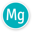 Magne-B6 feature