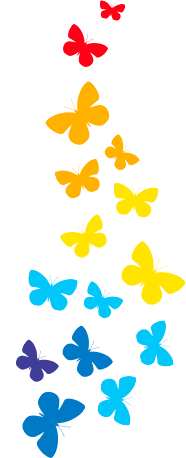 motyle