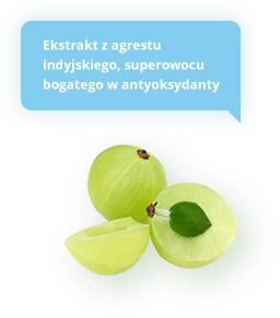 Ekstrakt z agrestu indyjskiego, superowocu bogatego w antyoksydanty