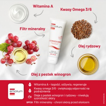 EMOLIUM DERMOCARE Krem na wiatr i mróz SPF 20 - 75 ml - cena, opinie, wskazania - obrazek 4 - Apteka internetowa Melissa