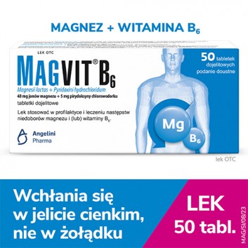 Magvit B6, tabletki dojelitowe, 50 sztuk USZKODZONE OPAKOWANIE KARTONOWE - obrazek 2