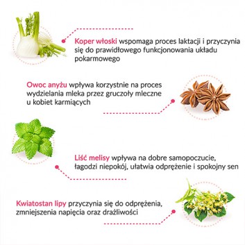 LACTOSAN FIX - 20 sasz. - obrazek 2 - Apteka internetowa Melissa