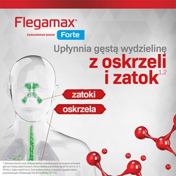 Flegamax Forte, 6 saszetek - obrazek 3 - Apteka internetowa Melissa