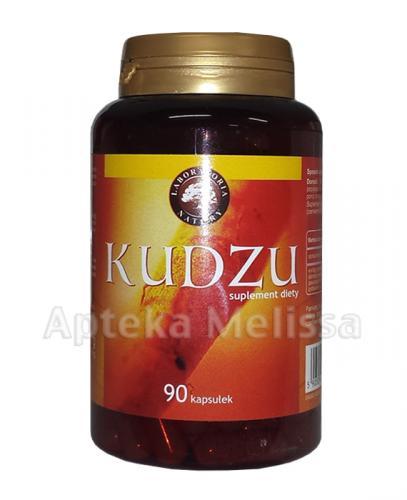 KUDZU ROOT Rzuć palenie - 90 kaps. - Apteka internetowa Melissa