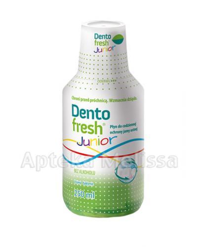 DENTOFRESH JUNIOR Płyn do płukania jamy ustnej - 250 ml - Apteka internetowa Melissa
