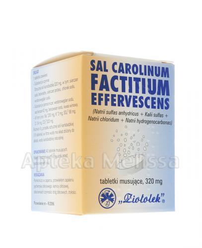SAL CAROLINUM FACTITIUM - 40 tabl. mus. - Apteka internetowa Melissa