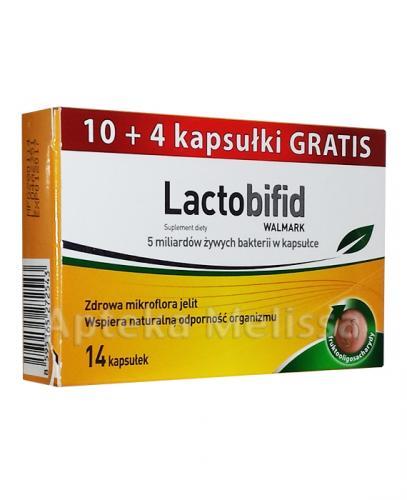 WALMARK LACTOBIFID - 14 kaps. - Apteka internetowa Melissa