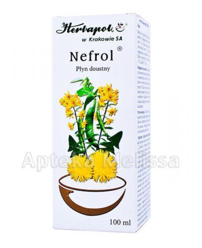 NEFROL Płyn doustny - 100 g - Apteka internetowa Melissa