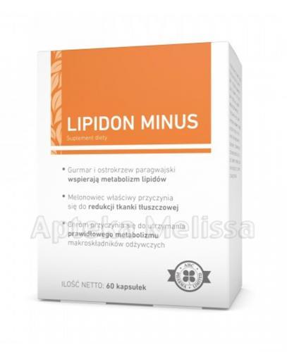 LIPIDON MINUS - 60 kaps. - Apteka internetowa Melissa
