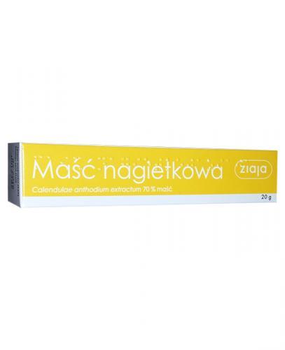ZIAJA Maść nagietkowa - 20 g - Apteka internetowa Melissa