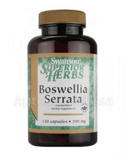  SWANSON Boswellia Serrata ekstrakt  200 mg  - 120 kaps. - Apteka internetowa Melissa  