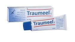HEEL TRAUMEEL S Maść - 50 g