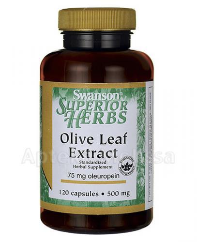 SWANSON Olive Leaf 500 mg - 120 kaps. - Apteka internetowa Melissa