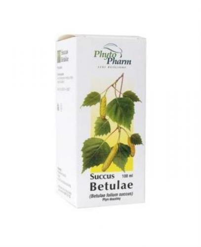 SUCCUS BETULAE - 100 ml - Apteka internetowa Melissa