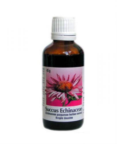 SUCCUS ECHINACAE - 50 ml - Apteka internetowa Melissa