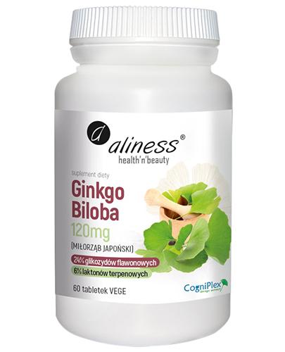  Aliness Ginkgo Biloba 120 mg, 60 tabletek - Apteka internetowa Melissa  