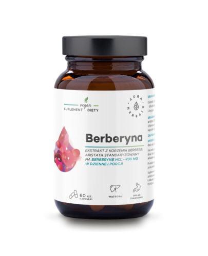  Aura Herbals Berberyna 490 mg HCL Berberis aristata, 60 kapsułek - Apteka internetowa Melissa  