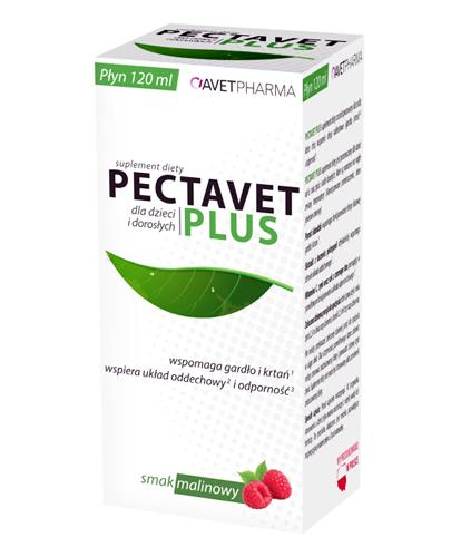  AVET Pectavet Plus - 120 ml Na układ oddechowy i odporność - cena, opinie, dawkowanie - Apteka internetowa Melissa  