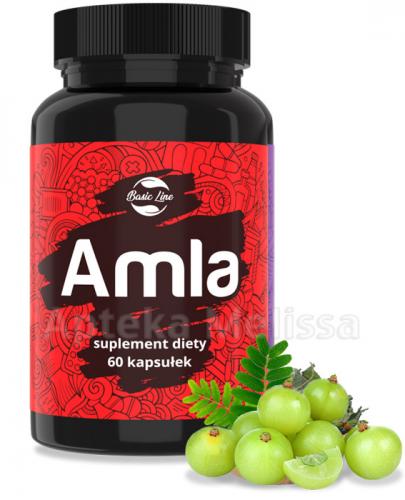 BASIC LINE Amla - wspomaga trawienie i zmniejsza stres oksydacyjny 60 kaps. - Apteka internetowa Melissa  