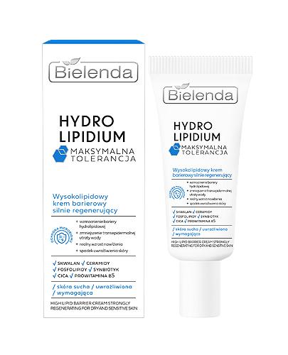 Bielenda Hydro Lipidium Maksymalna Tolerancja Wysoko-Lipidowy Krem barierowy silnie regenerujący, 50 ml - Apteka internetowa Melissa  