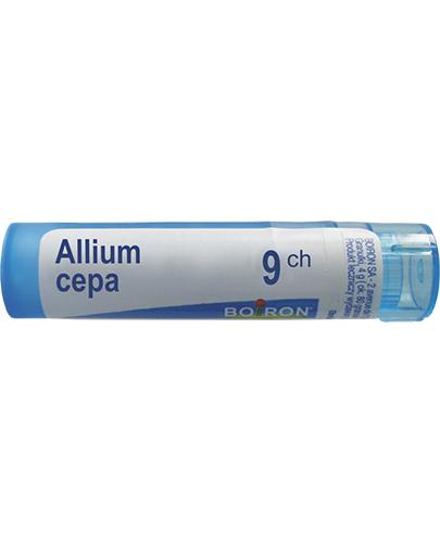 BOIRON Allium cepa 9CH gran. - 4 g - Apteka internetowa Melissa