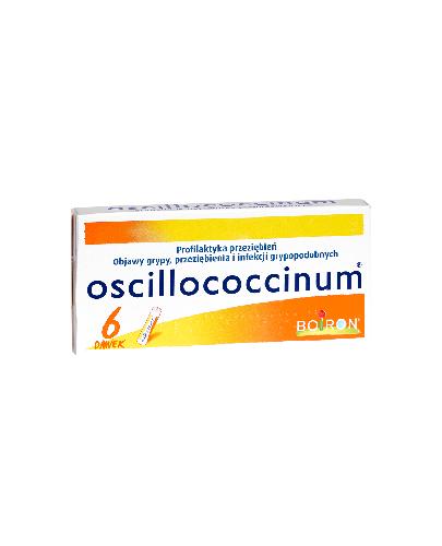  BOIRON Oscillococcinum - 6 dawek - przeziębienia - cena, opinie, stosowanie - Apteka internetowa Melissa  