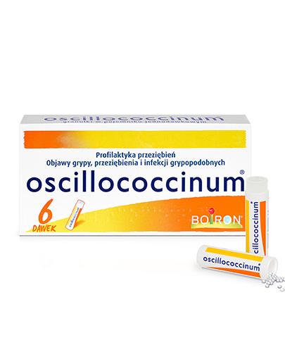 BOIRON Oscillococcinum - 6 dawek - przeziębienia - cena, opinie, stosowanie - Apteka internetowa Melissa