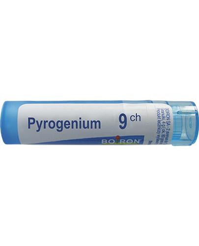  BOIRON Pyrogenium 9 CH granulki - 4 g - cena, opinie, skład - Apteka internetowa Melissa  