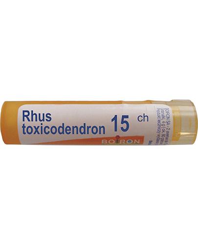 BOIRON Rhus toxicodendron 15CH gran. - 4 g - Apteka internetowa Melissa
