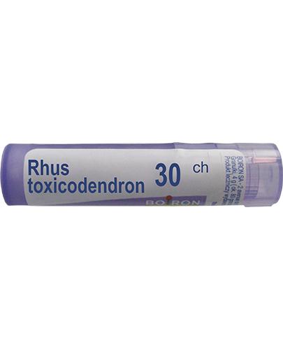  BOIRON Rhus Toxicodendron 30 CH granulki - 4 g - cena, opinie, skład - Apteka internetowa Melissa  