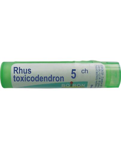 BOIRON Rhus toxicodendron 5CH gran. - 4 g