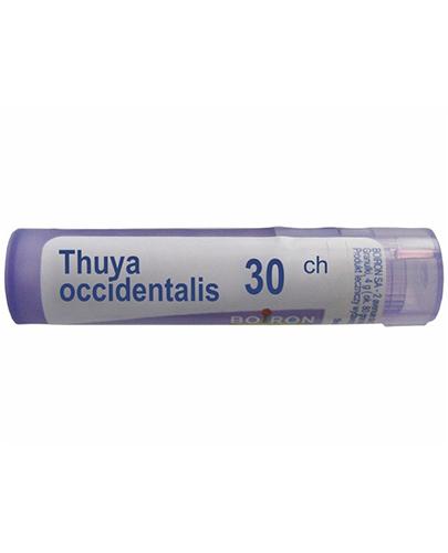BOIRON Thuya occidentalis 30CH gran. - 4 g