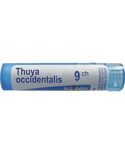  BOIRON Thuya occidentalis 9CH gran. - 4 g - Apteka internetowa Melissa  