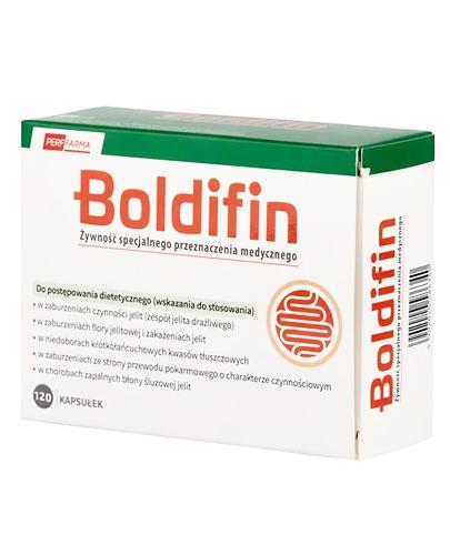  Boldifin - 120 kaps. - Zaburzenia czynności i flory jelit - cena, opinie, stosowania - Apteka internetowa Melissa  