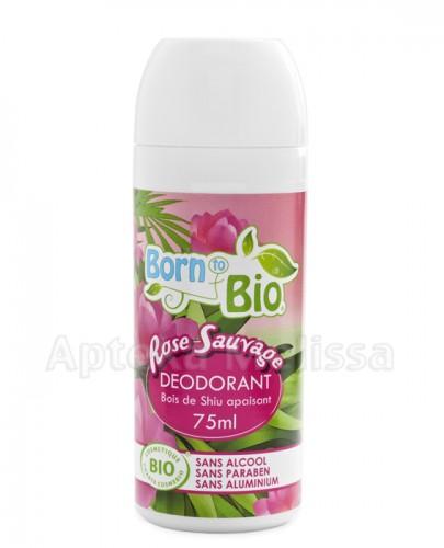  BORN TO BIO Dezodorant dzika róża roll-on - 75 ml - Apteka internetowa Melissa  
