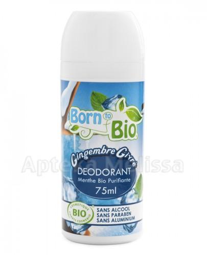 BORN TO BIO Dezodorant zmrożony imbir roll-on - 75 ml - Apteka internetowa Melissa