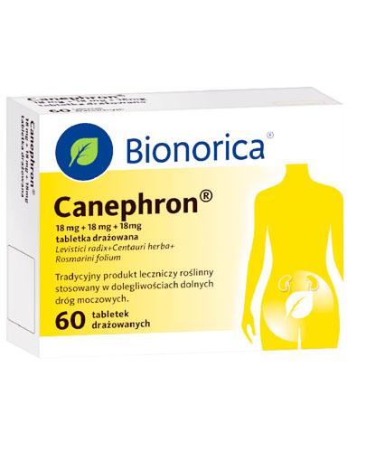  CANEPHRON, 60 tabletek - Apteka internetowa Melissa  