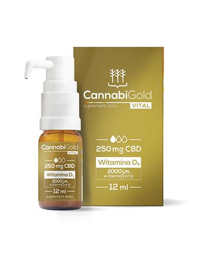  CannabiGold Vital 250 mg CBD Oliwa z oliwek z kannabidiolem i witaminą D3 - 12 ml - cena, opinie, właściwości - Apteka internetowa Melissa  
