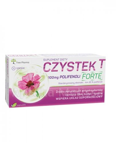 CZYSTEK T FORTE - 30 kaps. - Apteka internetowa Melissa