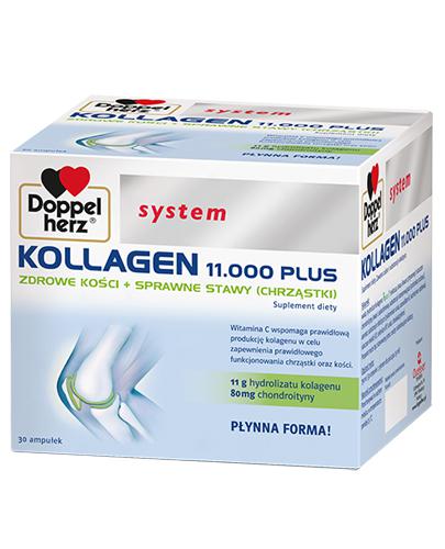  Doppelherz System Kollagen 11.000 Plus, 30 ampułek, na stawy - Apteka internetowa Melissa  